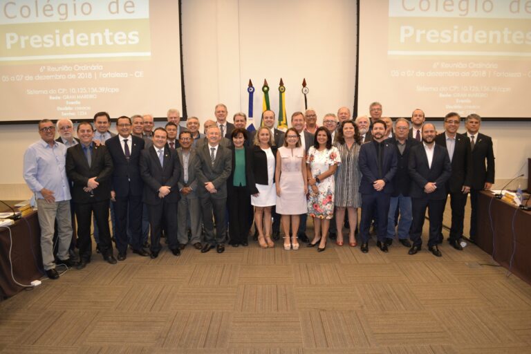 Crea-PI participa da 6º Reunião Ordinária do Colégio de Presidentes do Sistema