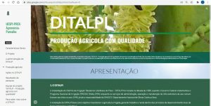 Professora da UESPI lança site com informações sobre o DITALPI